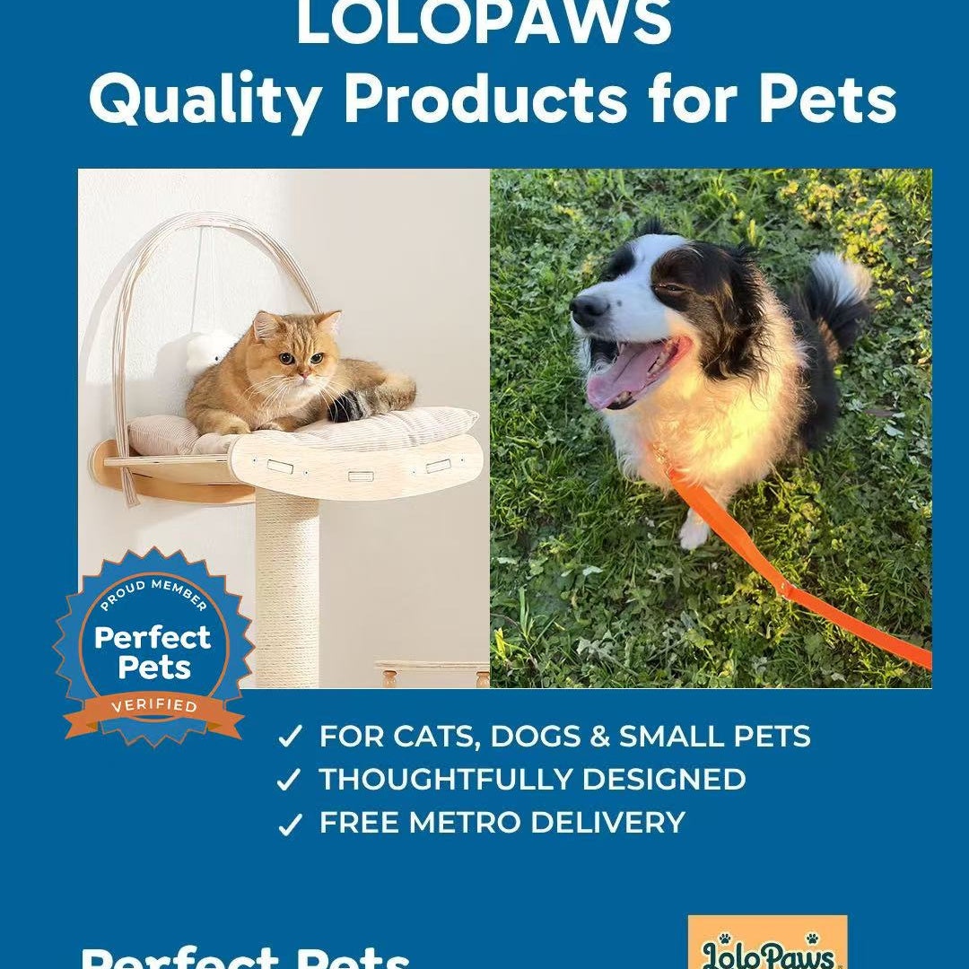 LoloPaws Perfect Pets Verified badge — quality pet products for cats, dogs and small pets with free metro delivery