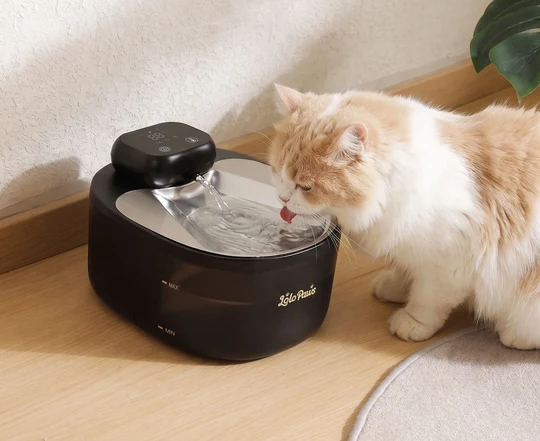 Best Cat Water Fountain Australia