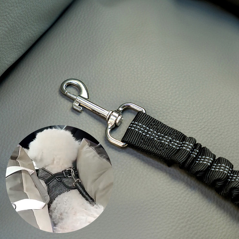 Adventure Awaits: Why Every Dog Parent Needs a Quality Pet Travel Bag