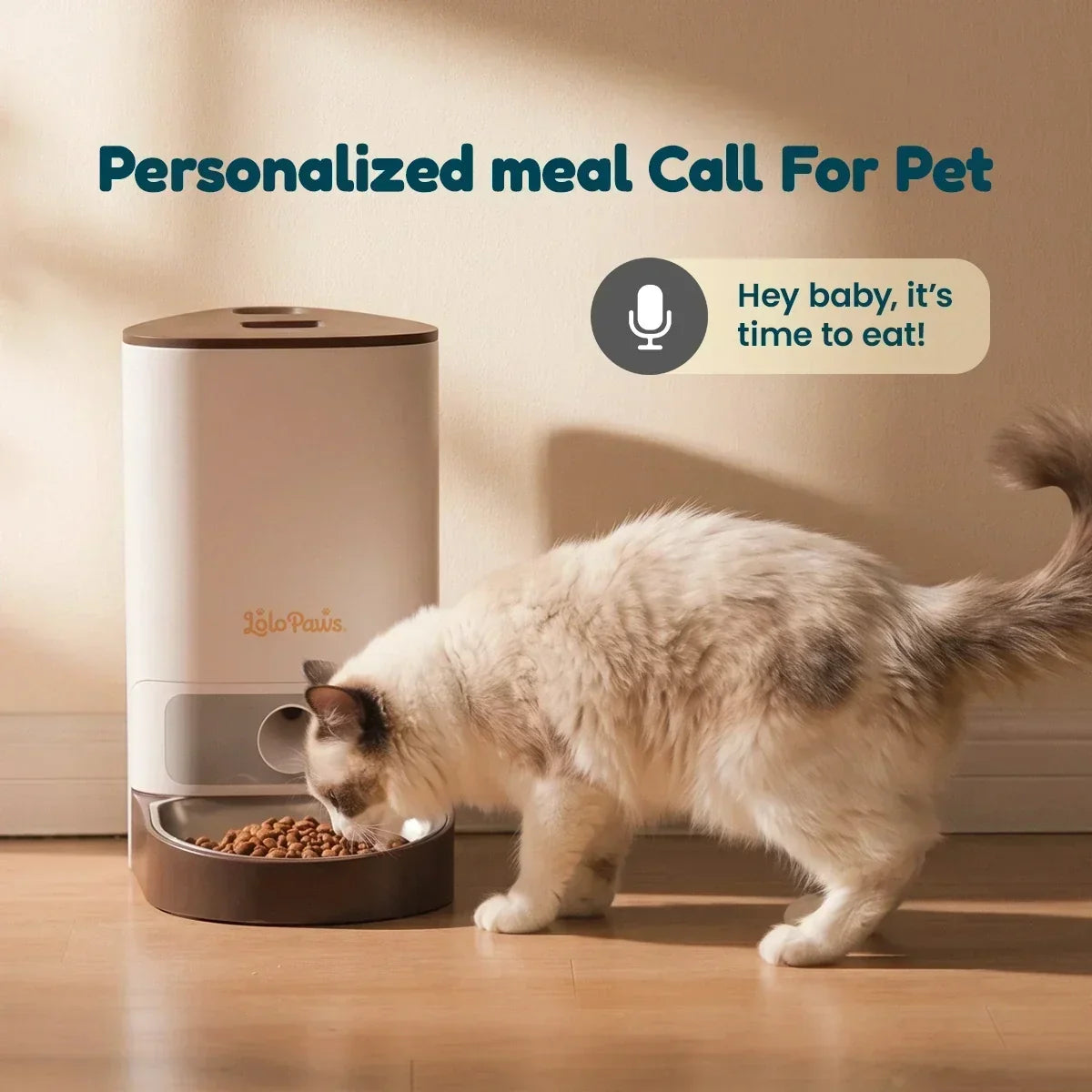 lolopaws pet feeder with voice recording feature calling cat to mealtime