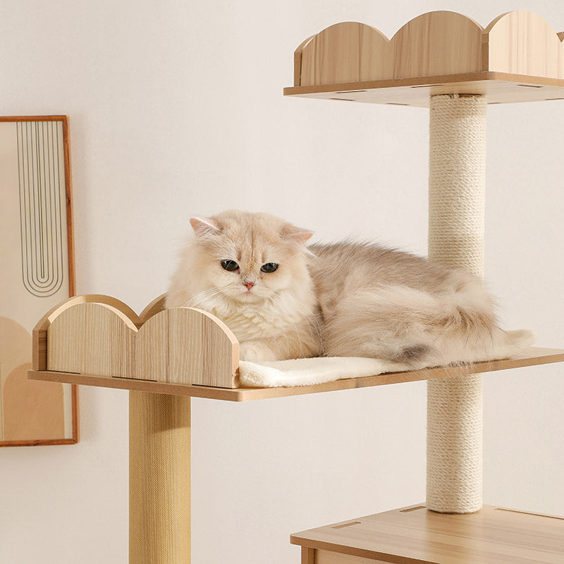 Multi-Cat Household Cat Tower Guide: How to Choose the Perfect Structure for Harmony