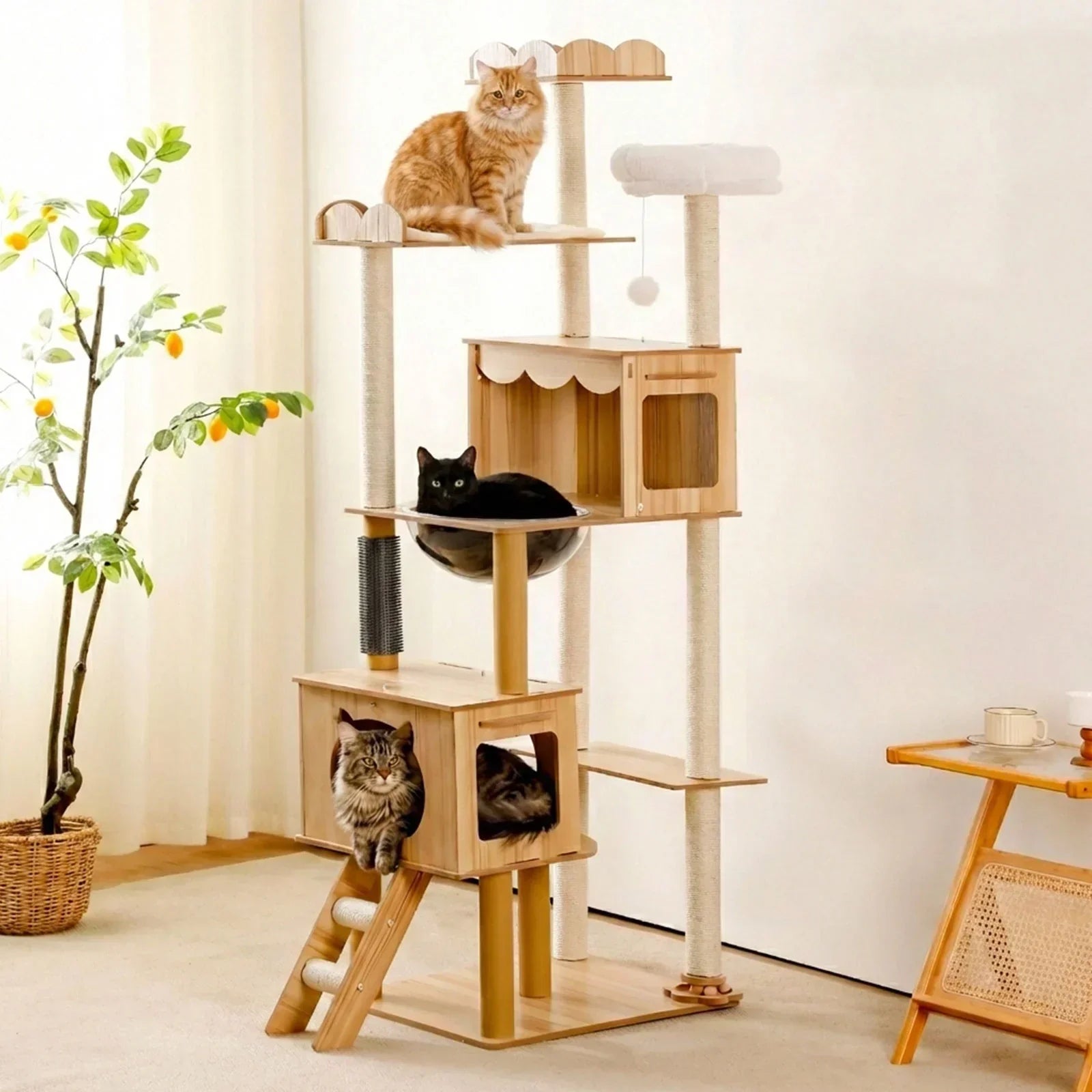 Best Cat Trees for Large Cats in Australia (2026 Buying Guide)