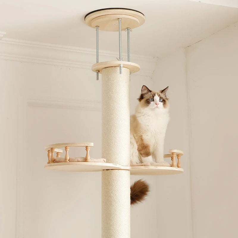 LoloPaws ceiling-mounted cat tree with cat sitting on wooden platform