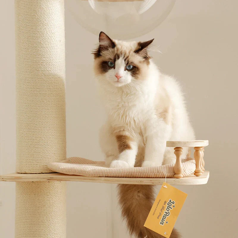 Best Cat Trees for Multiple Large Cats(No More Fighting!)