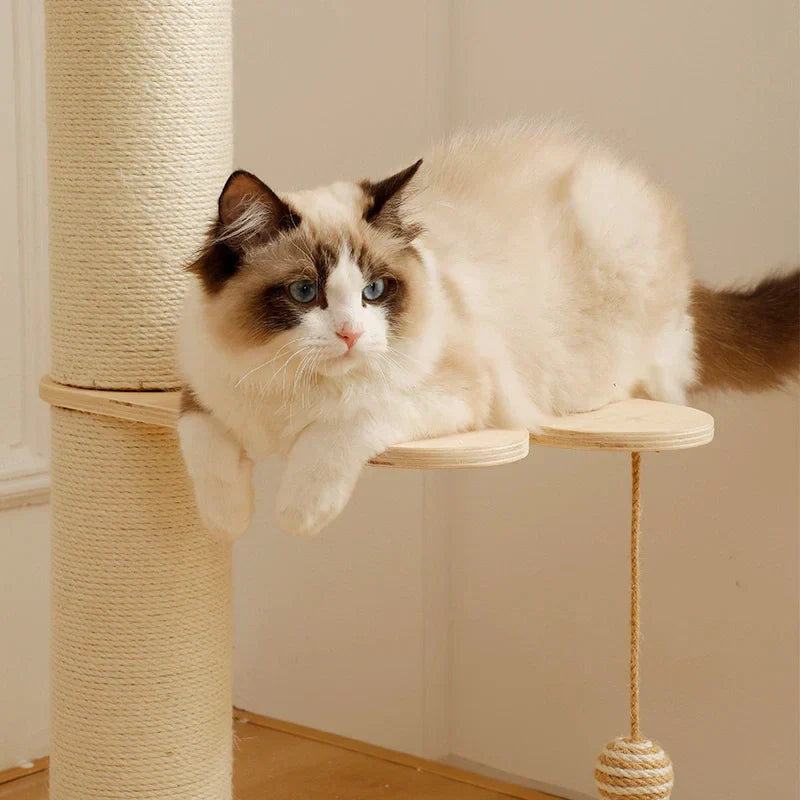 Best Cat Tree for Maine Coon Cats(2026 Guide)