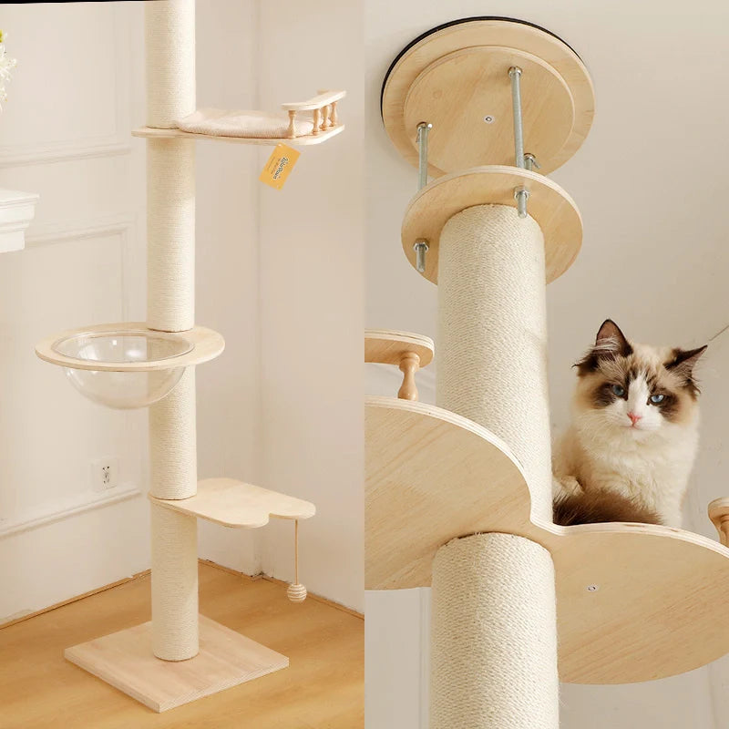 What Size Cat Tree Does My Cat Need