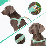 LoloPaws pistachio dog harness and leash set flat lay