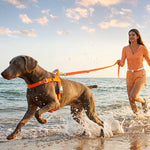 LoloPaws orange waterproof multi-way dog leash flat lay