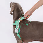 LoloPaws pistachio waterproof dog harness detail view