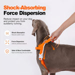 Person adjusting LoloPaws orange dog harness