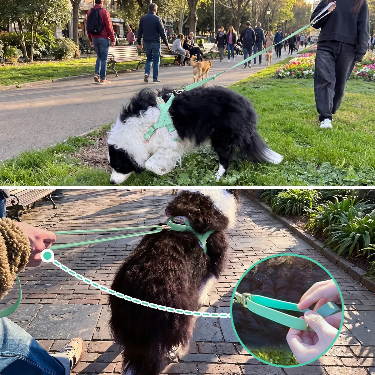 LoloPaws pistachio waterproof multi-way dog leash carabiner detail