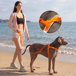 LoloPaws orange dog harness and leash walking kit lifestyle photo