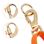 LoloPaws orange dog leash carabiner clip detail