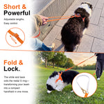 Dog walking on LoloPaws orange leash in short handheld mode and converted hands-free mode outdoors