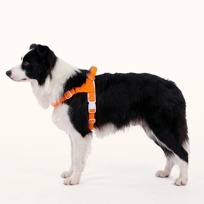M size harness