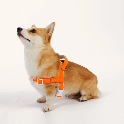 S size harness