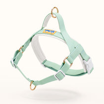 Pistachio waterproof no-pull dog harness with padded lining and front D-ring
