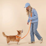 A woman is walking her dog on a leash