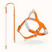 Orange Waterproof Dog Harness
