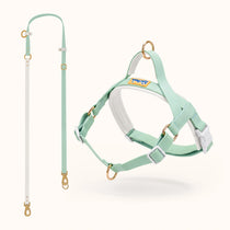 Orange waterproof multi-way dog leash