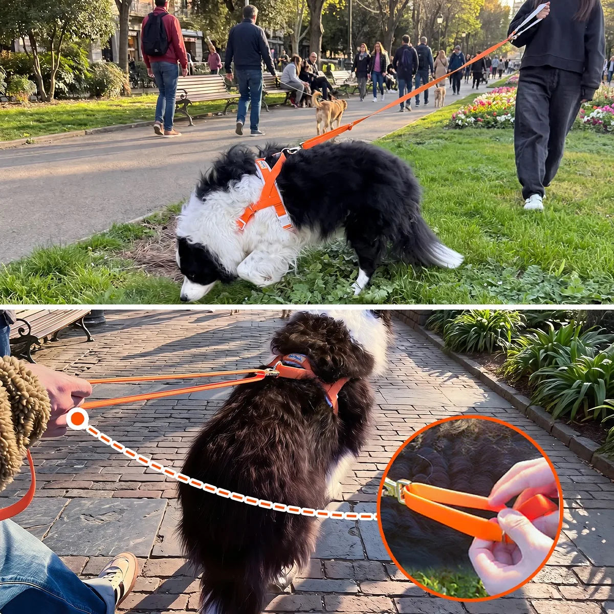 LoloPaws orange dog harness and leash walk kit feature highlights