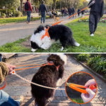 LoloPaws orange dog harness and leash walk kit feature highlights