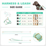 LoloPaws pistachio dog harness and leash size guide chart