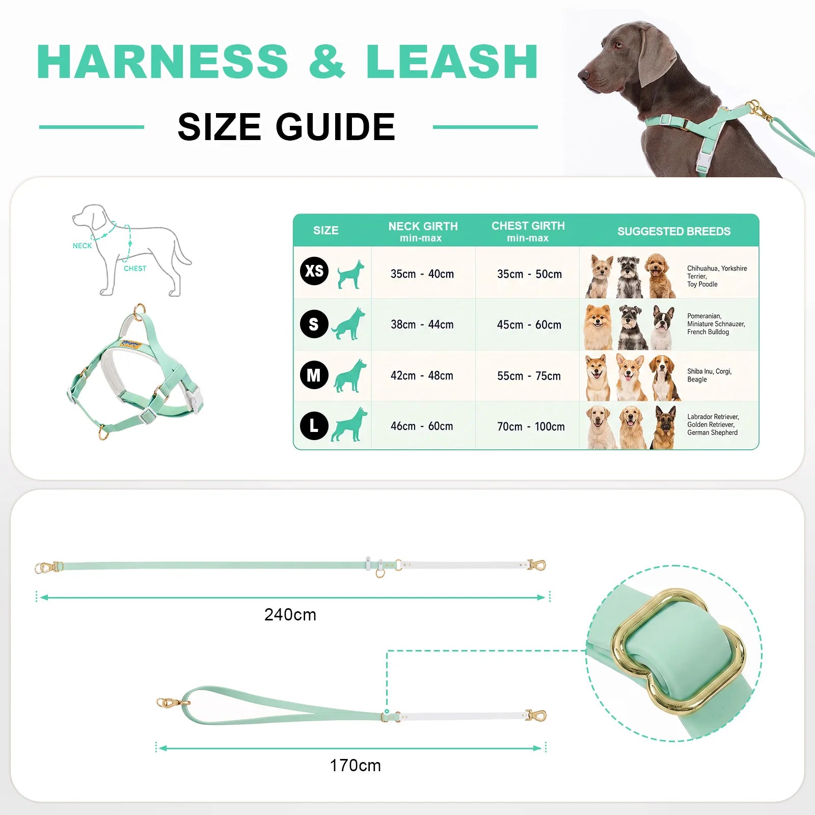 LoloPaws pistachio dog harness and leash size guide chart