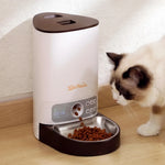 White automatic pet feeder with push-button control panel on top
