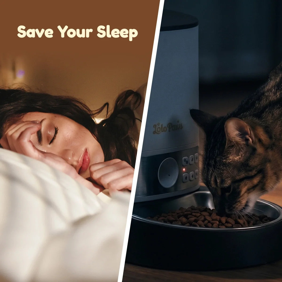 Cat eating from the automatic pet feeder's stainless steel tray