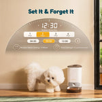Setting meal times on the automatic pet feeder's button interface