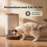 White automatic pet feeder viewed from above showing the feeding bowl