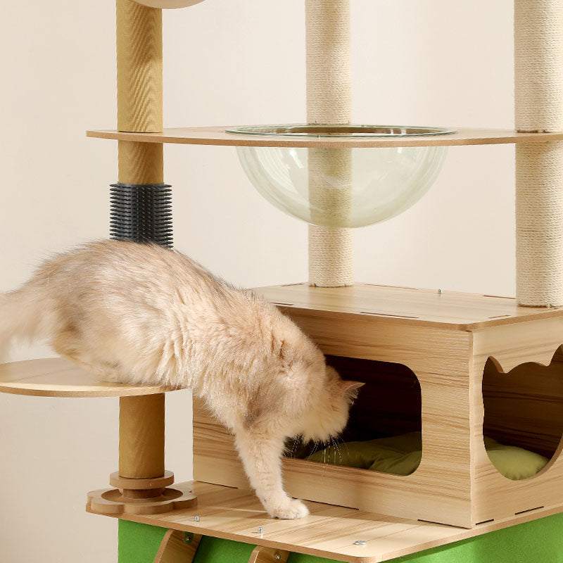 Fluffy cat exploring modern wooden cat tree with glass bowl and cozy bed by Lolopaws