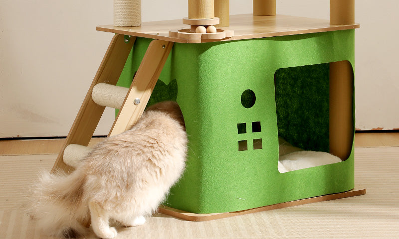 Fluffy cat exploring a Lolopaws green cat tree house with wooden ladder indoors