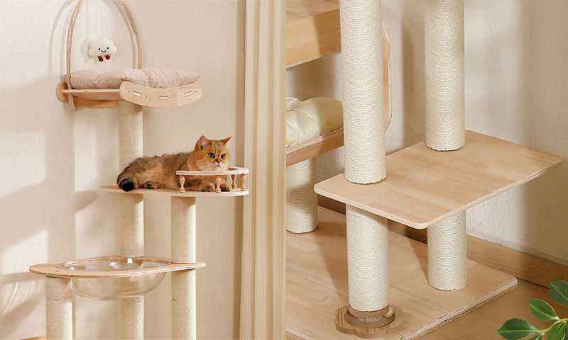 Small orange cat resting on a light wood platform supported by vertical white sisal-wrapped posts near a wall corner