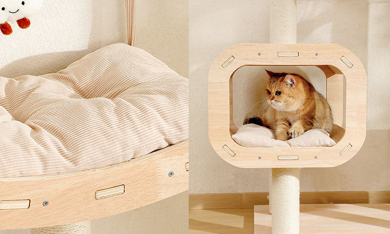 Small golden brown cat sitting inside a wooden cube perch attached to a sisal-wrapped cat tree with a soft cushion inside