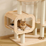 Compact birch wooden cubby with rounded edges and cushioned rest area on multi-level cat tree with sisal posts