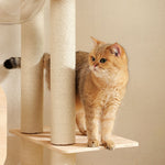 Golden cat standing on natural birch wooden platform next to thick sisal-wrapped scratching posts on cat tree tower