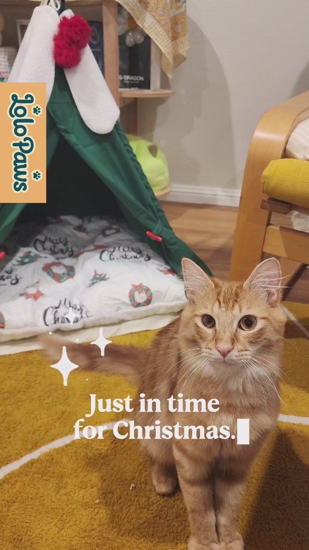 LOLOPAWS Christmas PET tent bed assembly and setup video for small and medium pets