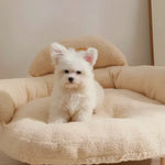 A small white fluffy dog on a cream bouclé XL pet couch bed with wooden legs