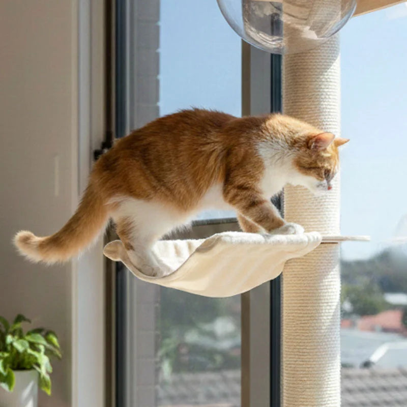 Space-saving window-mounted cat tree in a sunlit modern living room, featuring a cat standing on the platform enjoying the outdoor forest view.