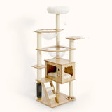 Compact LOLOPAWS suction cup cat tower for small apartments, offering a multi-level vertical playground with an acrylic bubble bed and scratching pillar.