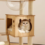 Cat sitting inside a LOLOPAWS compact wooden cat tower with a beige background