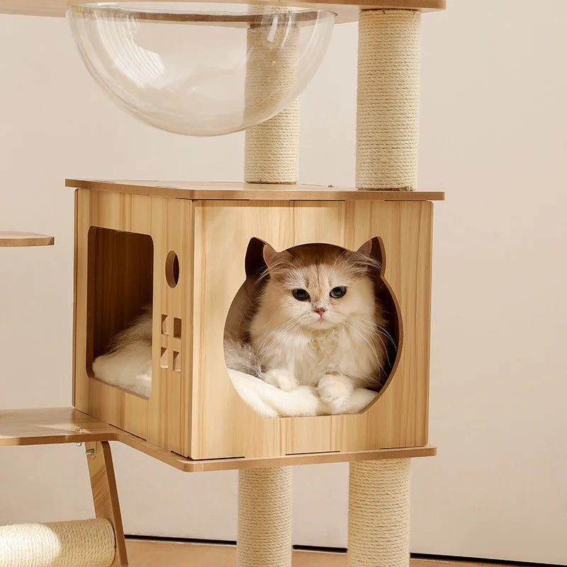 Cat sitting inside a LOLOPAWS compact wooden cat tower with a beige background