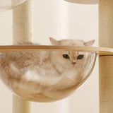 A golden British Shorthair cat napping inside the LOLOPAWS wooden cat condo with a clear bubble window, showcasing a cozy and modern lifestyle.