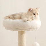 A cat lounging on the plush white cushion atop a LOLOPAWS wooden cat tower against a plain background.