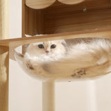 Transparent bubble cat condo with beige cushion inside on wooden cat tower for large cat.