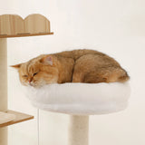 Cat sleeping on a LOLOPAWS' cat tower 's white cushioned perch of a cat tree with a light background