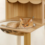 A tall and sturdy LOLOPAWS cat furniture tower and cat lounging on a glass platform inside a wooden cat tree.