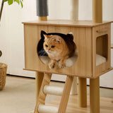 Cat sitting on a LOLOPAWS cat furniture tower with a white wall and plant in the background